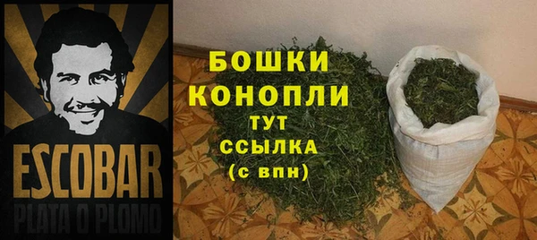 индика Валдай