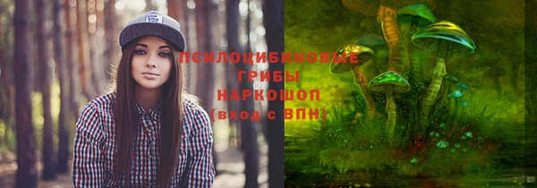 ALPHA PVP Болохово