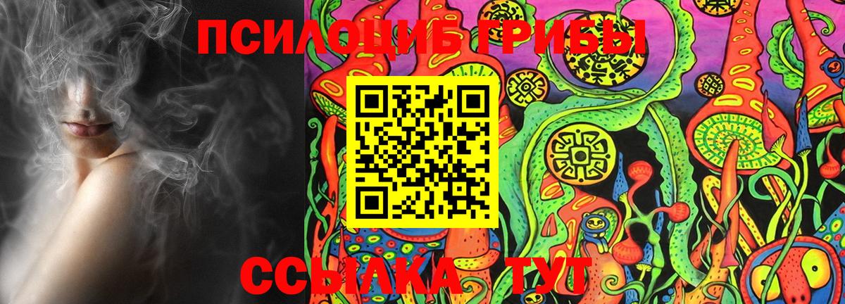 Псилоцибиновые грибы прущие грибы Всеволожск