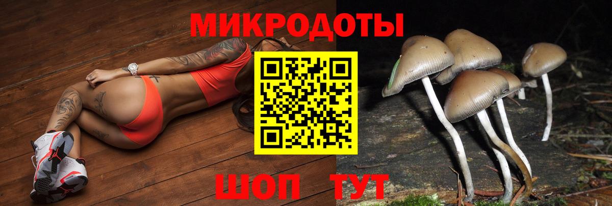 Псилоцибиновые грибы Magic Shrooms  Всеволожск 