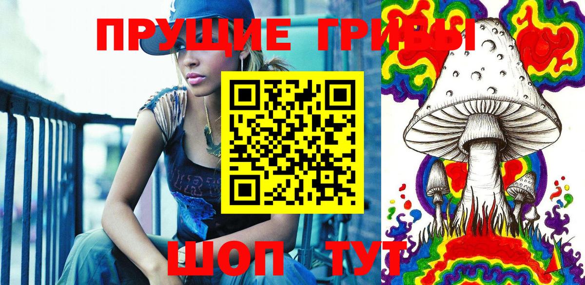 Галлюциногенные грибы Psilocybine cubensis  Вход с VPN  Всеволожск  Галлюциногенные грибы Psilocybe 