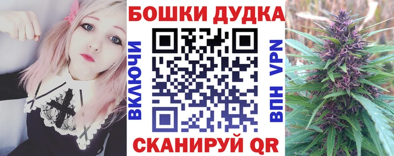купить наркотики сайты  Всеволожск  Канабис планчик 